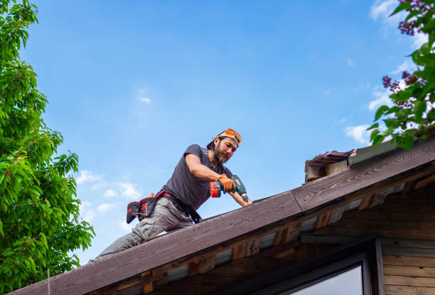 Best Skylight Installation and Repair  in Carlisle Rockledge, AL